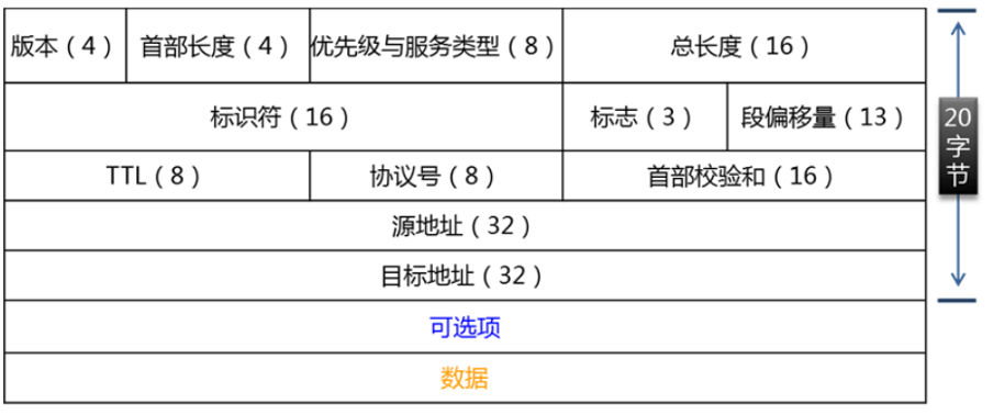 IP 数据报格式