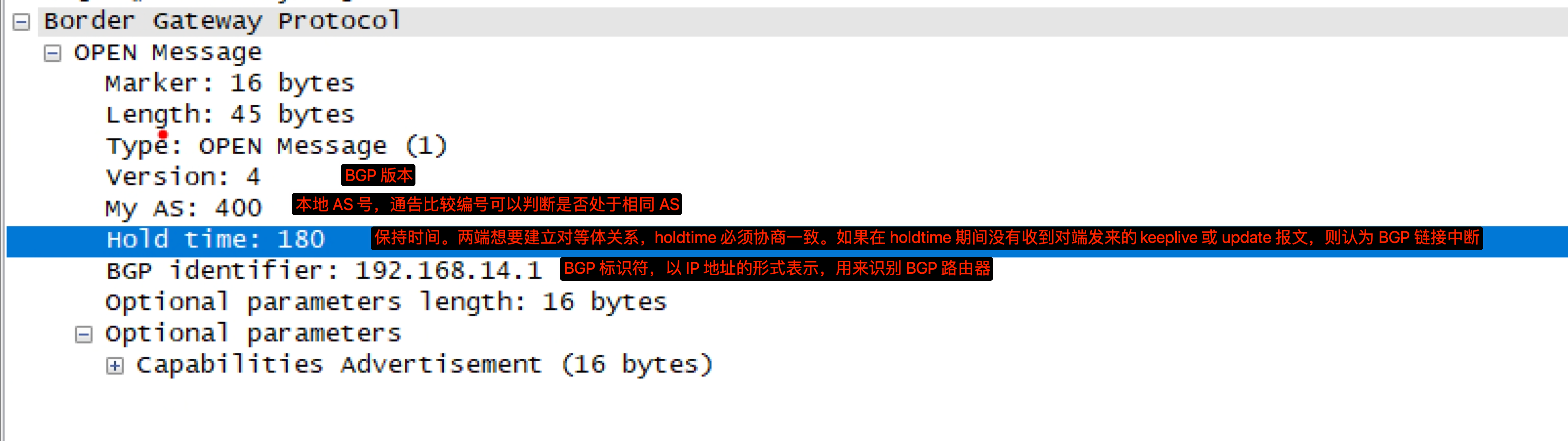 OPEN报文