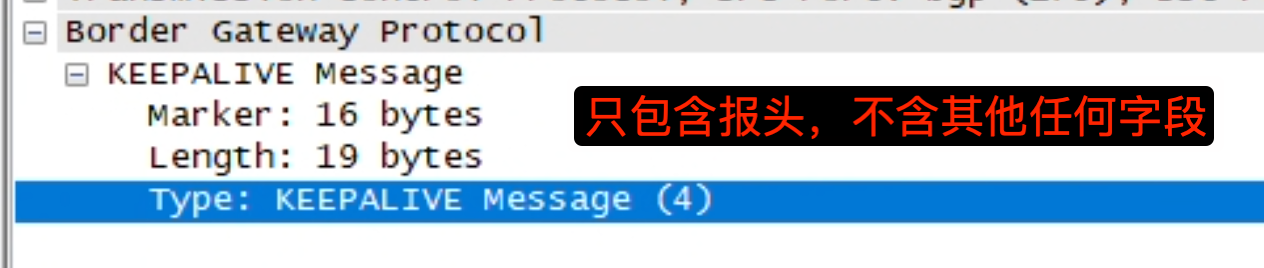 KEEPALIVE 报文